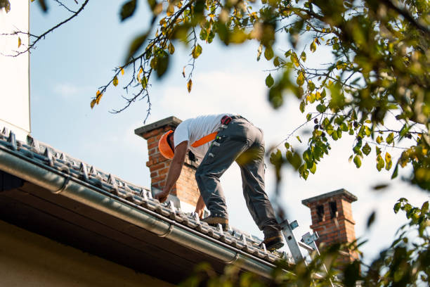 Best Shingle Roofing Installation  in Rib Mountain, WI