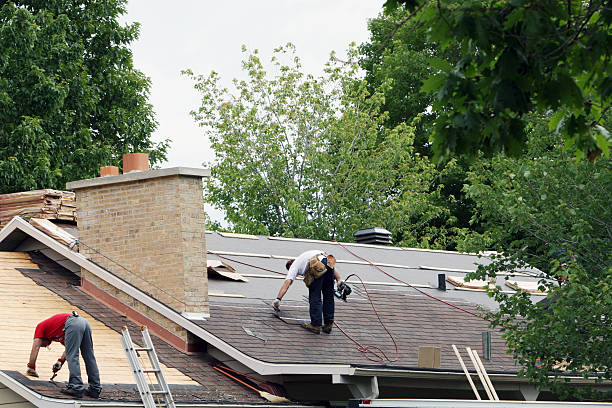 Best Roof Maintenance Services  in Rib Mountain, WI