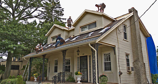Best Roof Repair Services  in Rib Mountain, WI