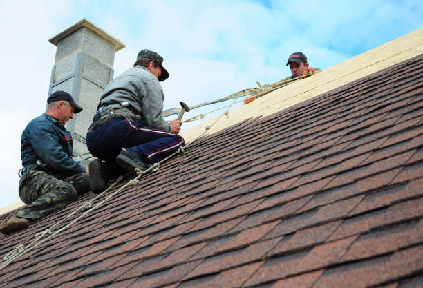 Best Roofing Contractor Near Me  in Rib Mountain, WI