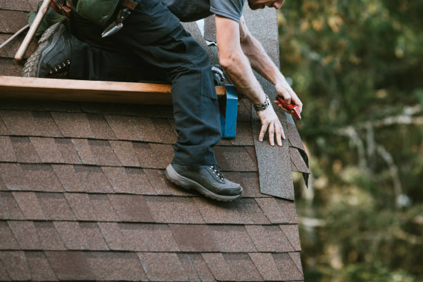 Best Gutter Installation and Roofing  in Rib Mountain, WI