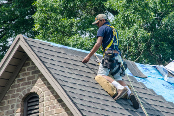Best Roof Maintenance Services  in Rib Mountain, WI